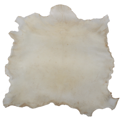 Parchemin de chèvre - Approx. 8-10 Pi.ca. - 0,7-0,8mm