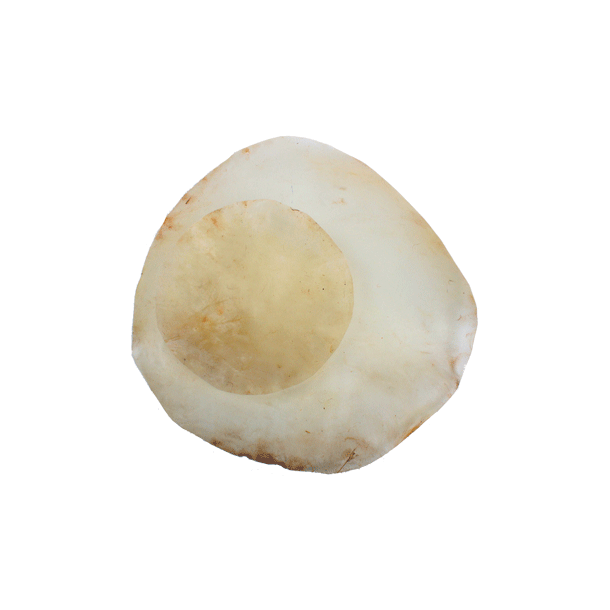 Rawhide parchment round goat for drums approx 0,2mm