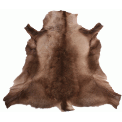 Flotte Rensdyrskind 100-120cm fra nord Sverige