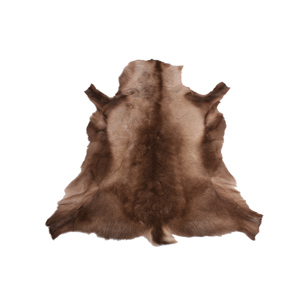 Reinsdyr skinn bukk 100-120cm