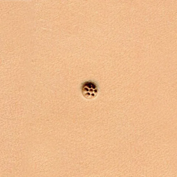 Background Punsel A100 