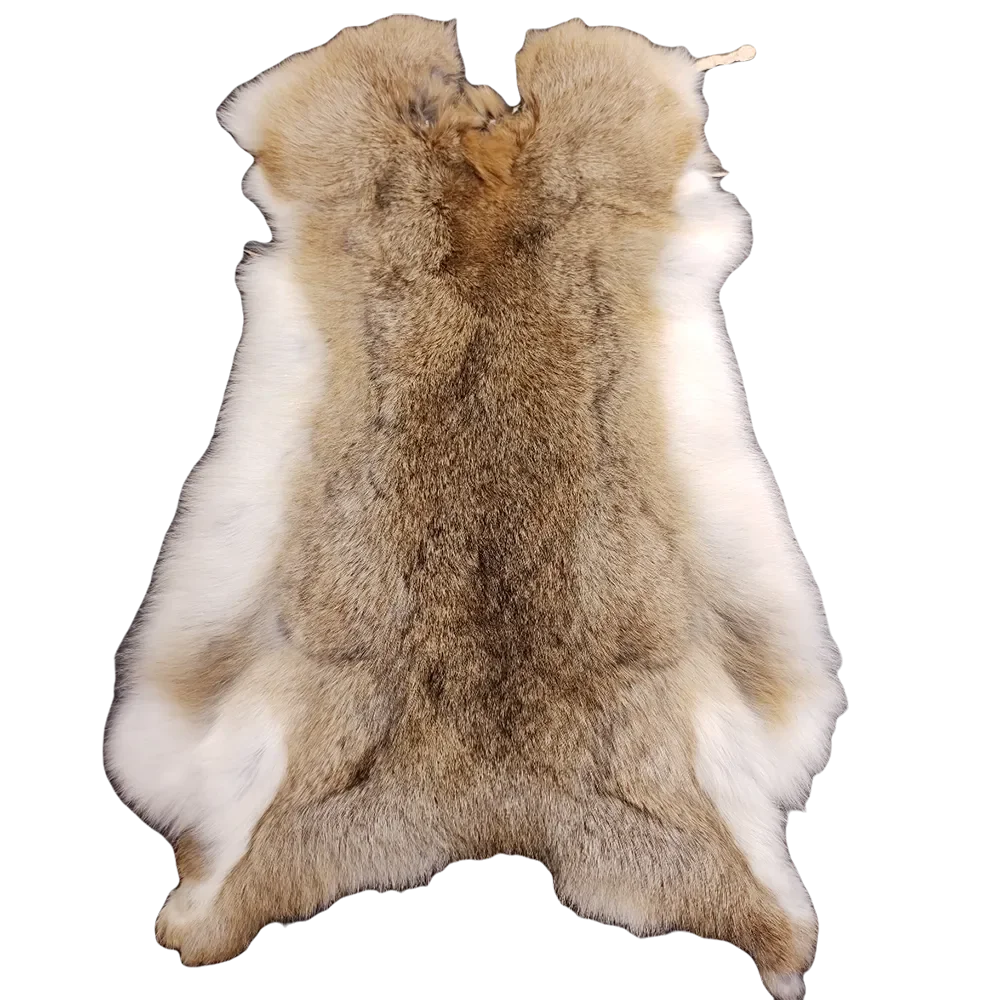 Jumbo rabbits - Whole rabbits furs - Leather House - Fur, Buckles