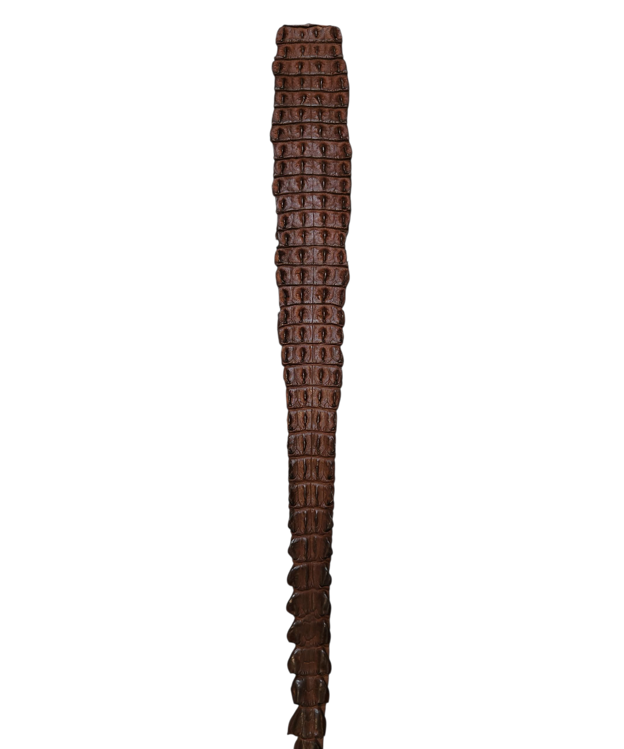 Krokodillerygg skinn