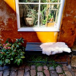 Lammeskind beige med flot ru bagside  - ca. 0,3 m2