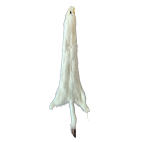 Ermine fur around. 28cm