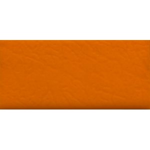 Biothane Beta  Standard - 2,41mm 2,67mm