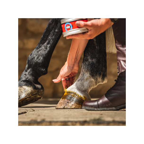 Cornucrescine Daily Hoof Dressing 500ml