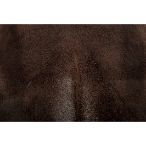 Springbuck rug Dark brown