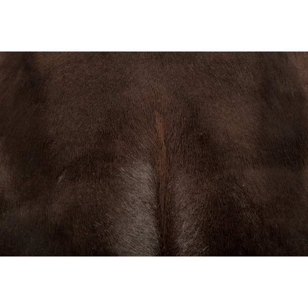 Tapis en Spingbok  Darkbrown