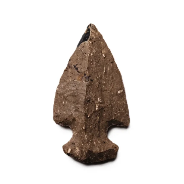 Pilespids   