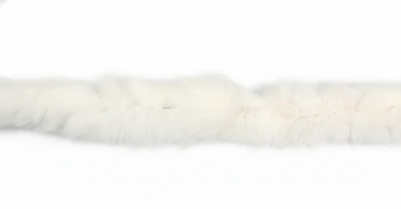 Plskanter i rv ca. 5cm brede