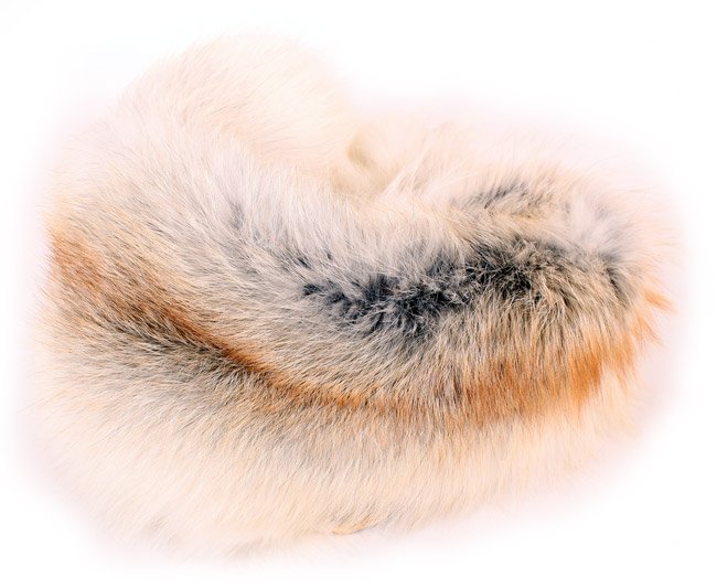 Fourrure de renard (diffrents types)