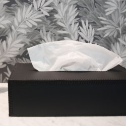 Kleenex Holder