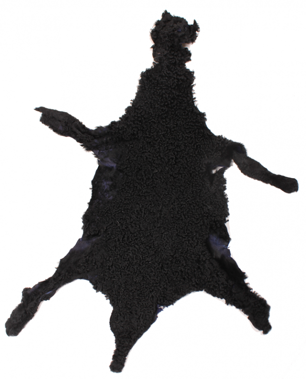 Karakul (mouton) noir