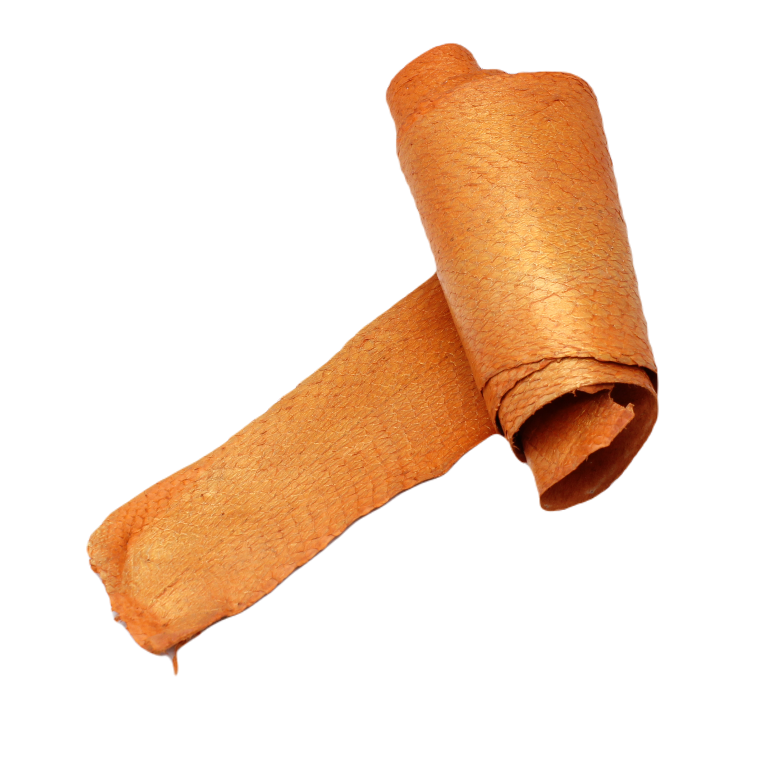 Peau de saumon