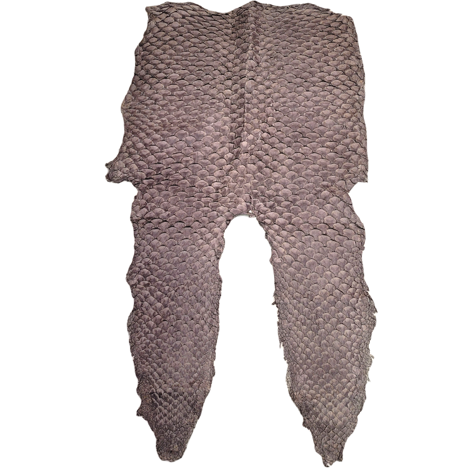 Pirarucu / Arapaima fish leather 110 x 65cm - Reptile/fish/snake/bird ...