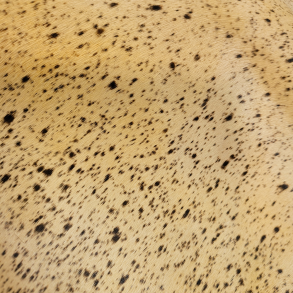 Fur horse light with dots