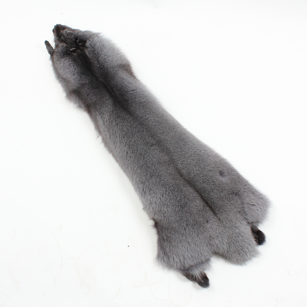 Renard bleu gris 100cm