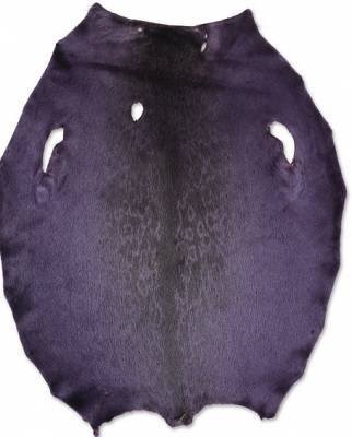 Ringed seal from  6-8 sqf Greenland Inut  C+ sorting from Greenland