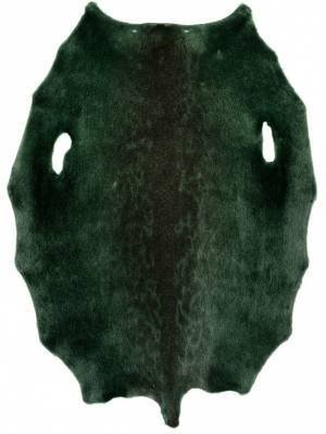 Ringed seal from  6-8 sqf Greenland Inut  C+ sorting from Greenland