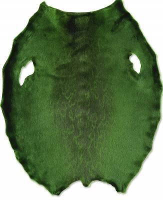 Ringed seal from  6-8 sqf Greenland Inut  C+ sorting from Greenland