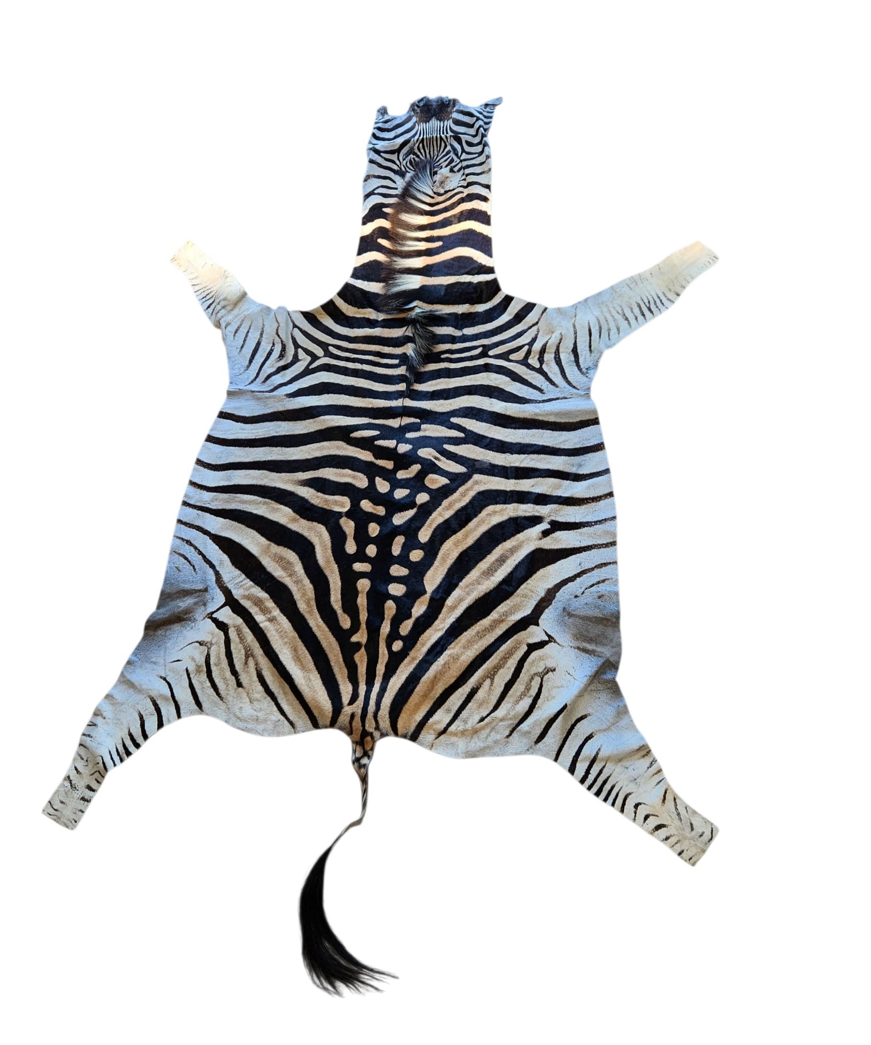 Afrikansk Sebraskinn/Zebraskinn - Burchell