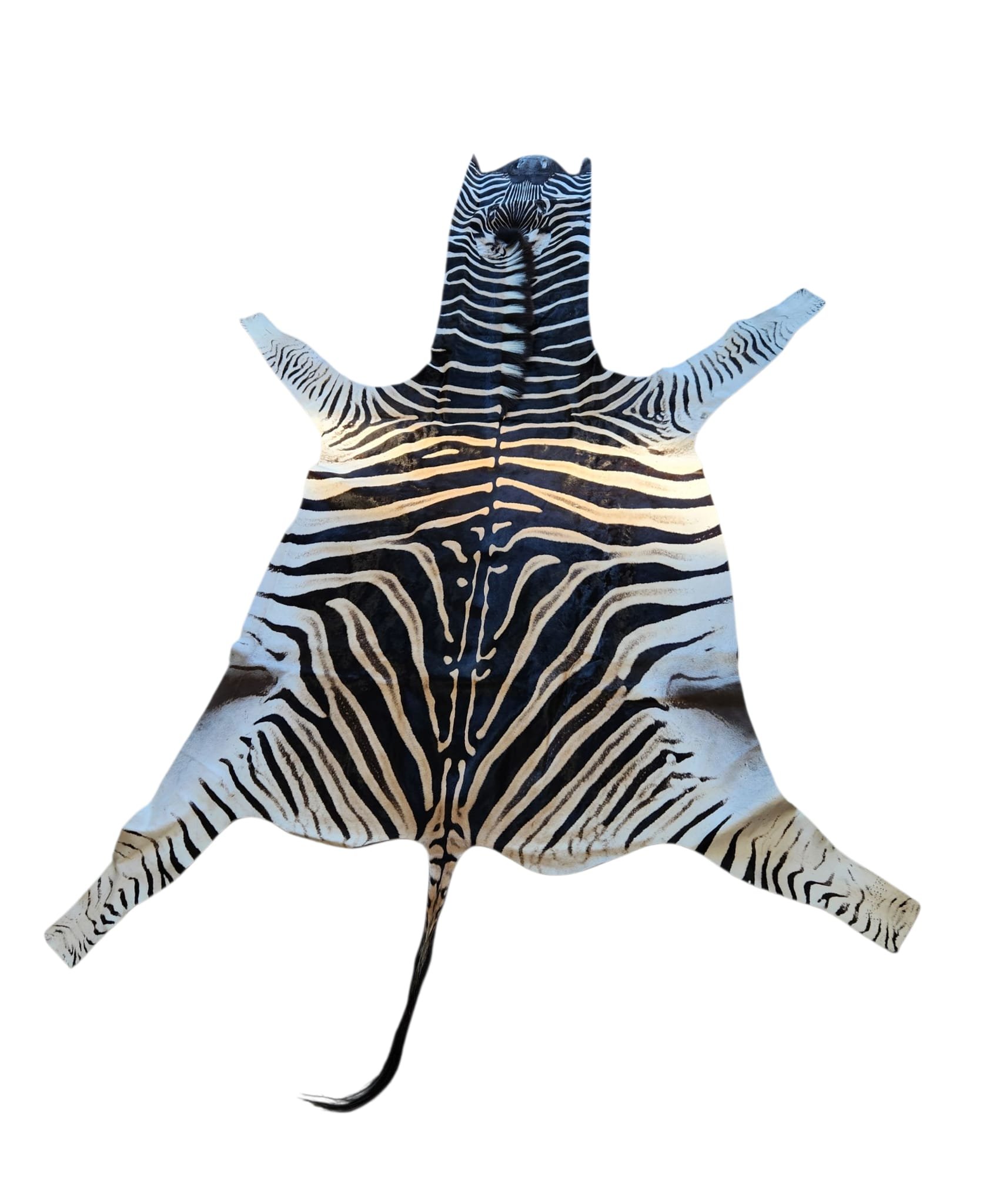 Afrikansk Sebraskinn/Zebraskinn - Burchell