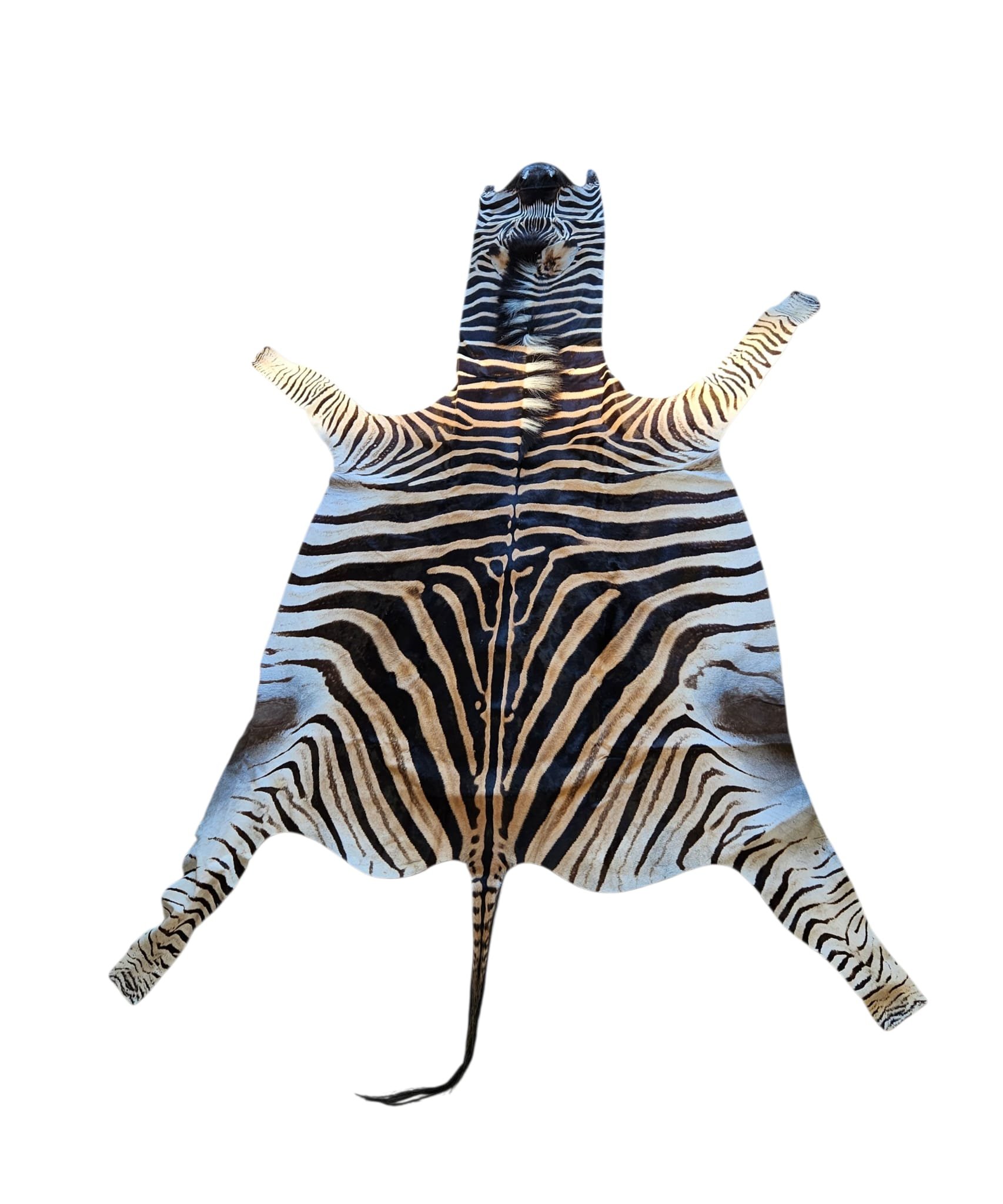 Afrikansk Sebraskinn/Zebraskinn - Burchell