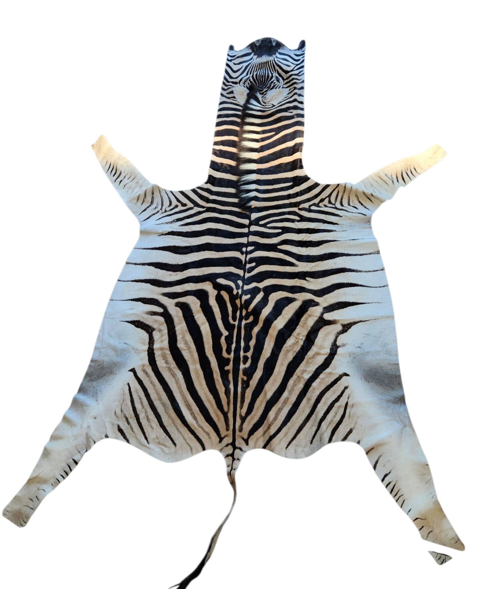 Afrikansk Sebraskinn/Zebraskinn - Burchell