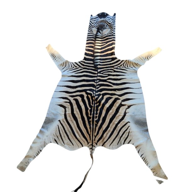 Afrikansk zebraskinn - Burchell