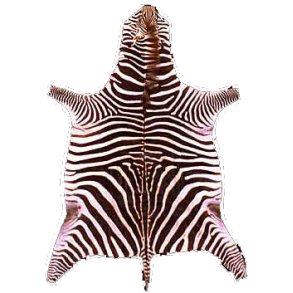 Zebra Teppich