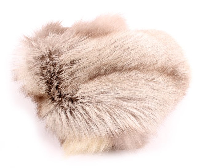 Fourrure de renard (diffrents types)