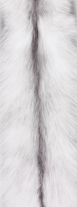 Fourrure de renard (diffrents types)