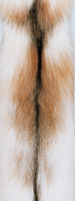 Fourrure de renard (diffrents types)