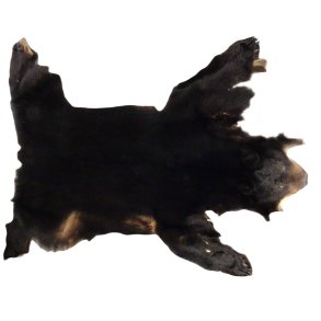 Black bear approx 150cm long