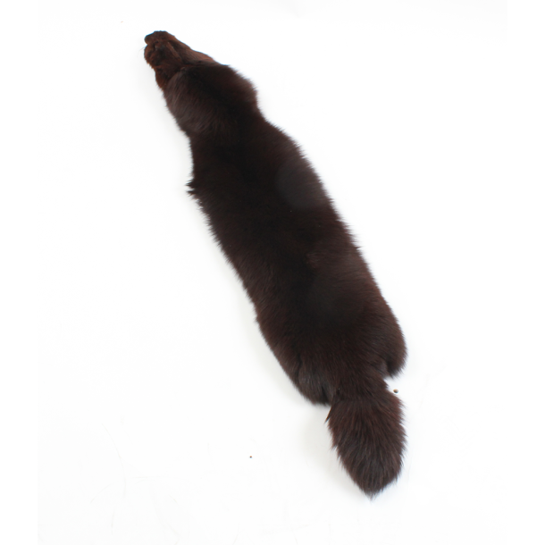 Blue fox 135cm 