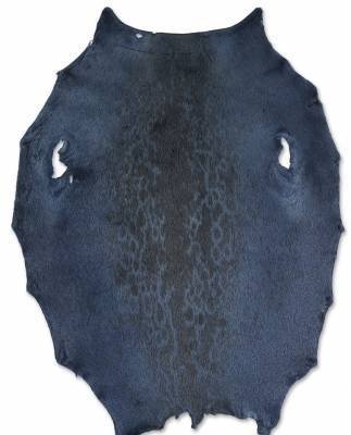 Ringed seal from  6-8 sqf Greenland Inut  C+ sorting from Greenland