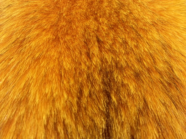 Fourrure de renard (diffrents types)