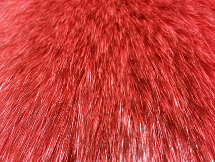 Fourrure de renard (diffrents types)