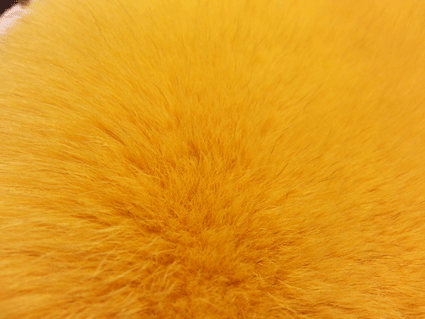 Fourrure de renard (diffrents types)