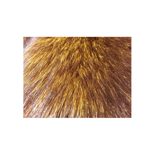 Vossenbont Blue Fox Ongeveer 88cm - maat 1 geel bruin