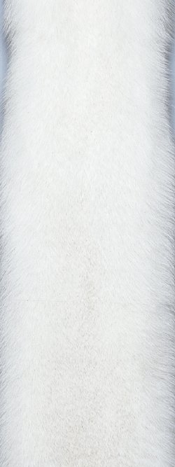 Fourrure de renard (diffrents types)