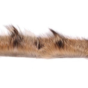 Pelskant Coyote ca. 5cm
