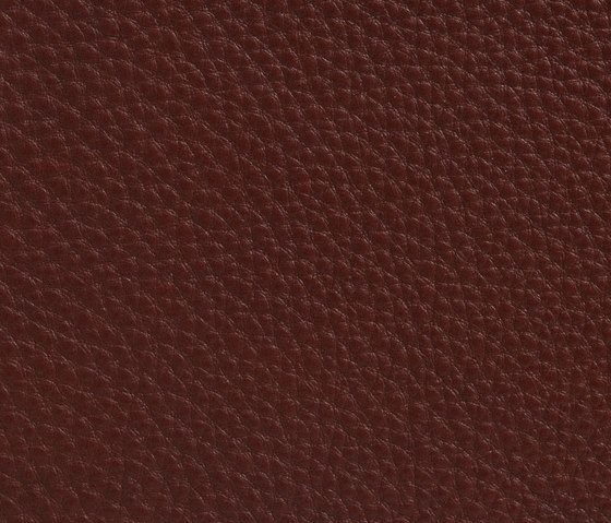 Revtenent de cuir Grand avec structure - aniline - 2,0-2,3mm