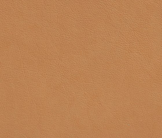 Revêtement de cuir TIQUE Aniline - 1,0-1,2mm