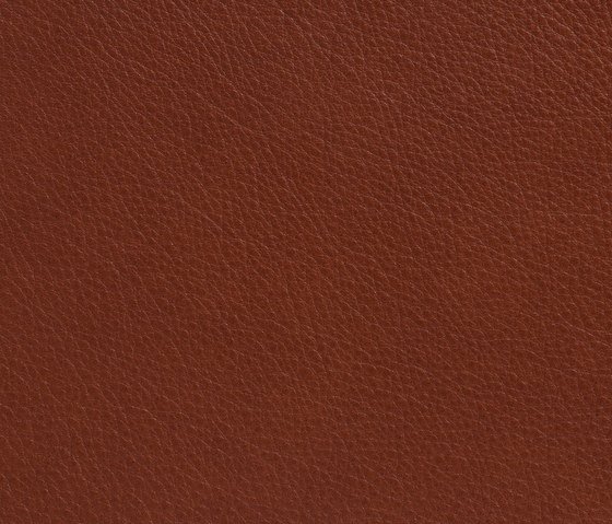 Revêtement de cuir TIQUE Aniline - 1,0-1,2mm