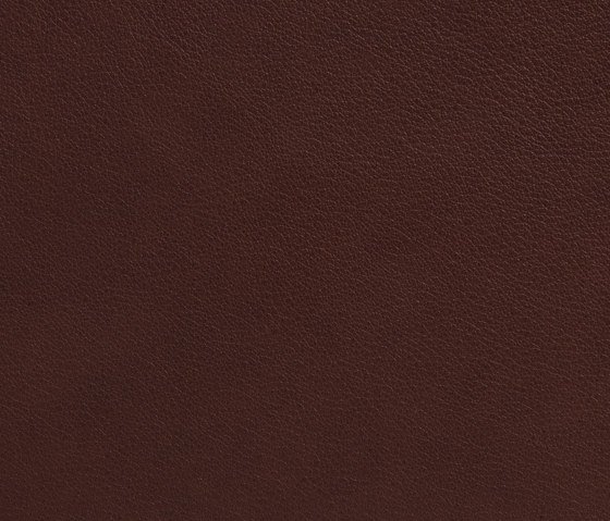 Revêtement de cuir TIQUE Aniline - 1,0-1,2mm
