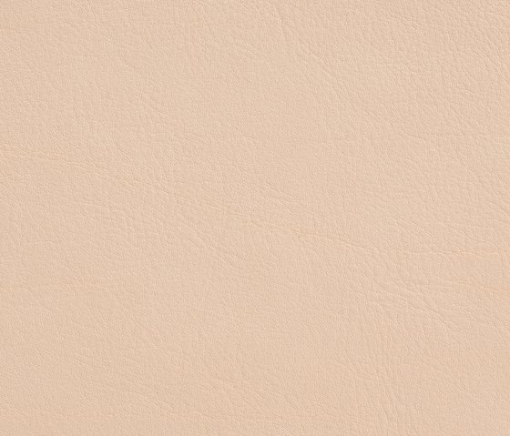 Møbelhud vegetabilsk 1,3-1,5mm - 48-52 kvf
