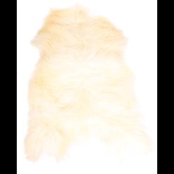 Islandsk langhret Lammeskind - flere farver