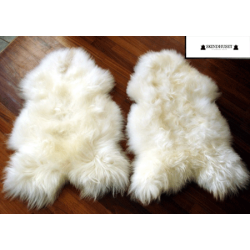 Islandsk langhret Lammeskind - flere farver